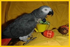Henrik ønsker alle en fin påske!